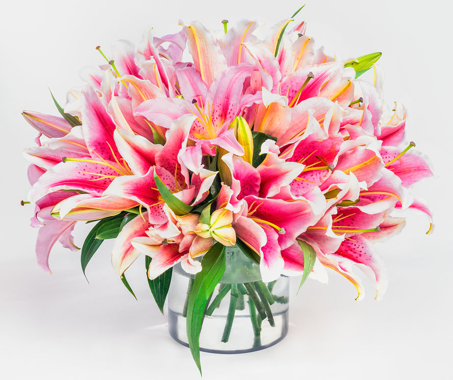 Flower Crazy™ Complete DIY Flower Arrangement Kit Flower School 101