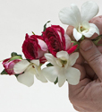 flower design classes