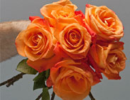 Flower Design School 18