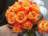 Flower Design School 19