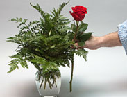 Online Flower Design Classes 3