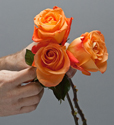 flower design school