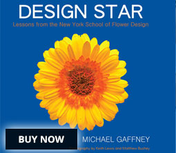 Design Star, the book. Click to purchase