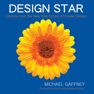 design star book by mike gaffney front cover
