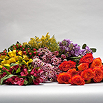 Boston School of Flower Design