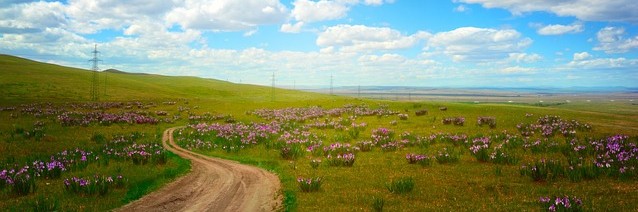 summer road trip picture