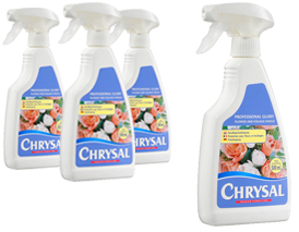 chrysal-4up