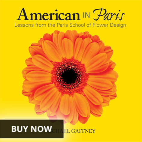 American in Paris book buy now