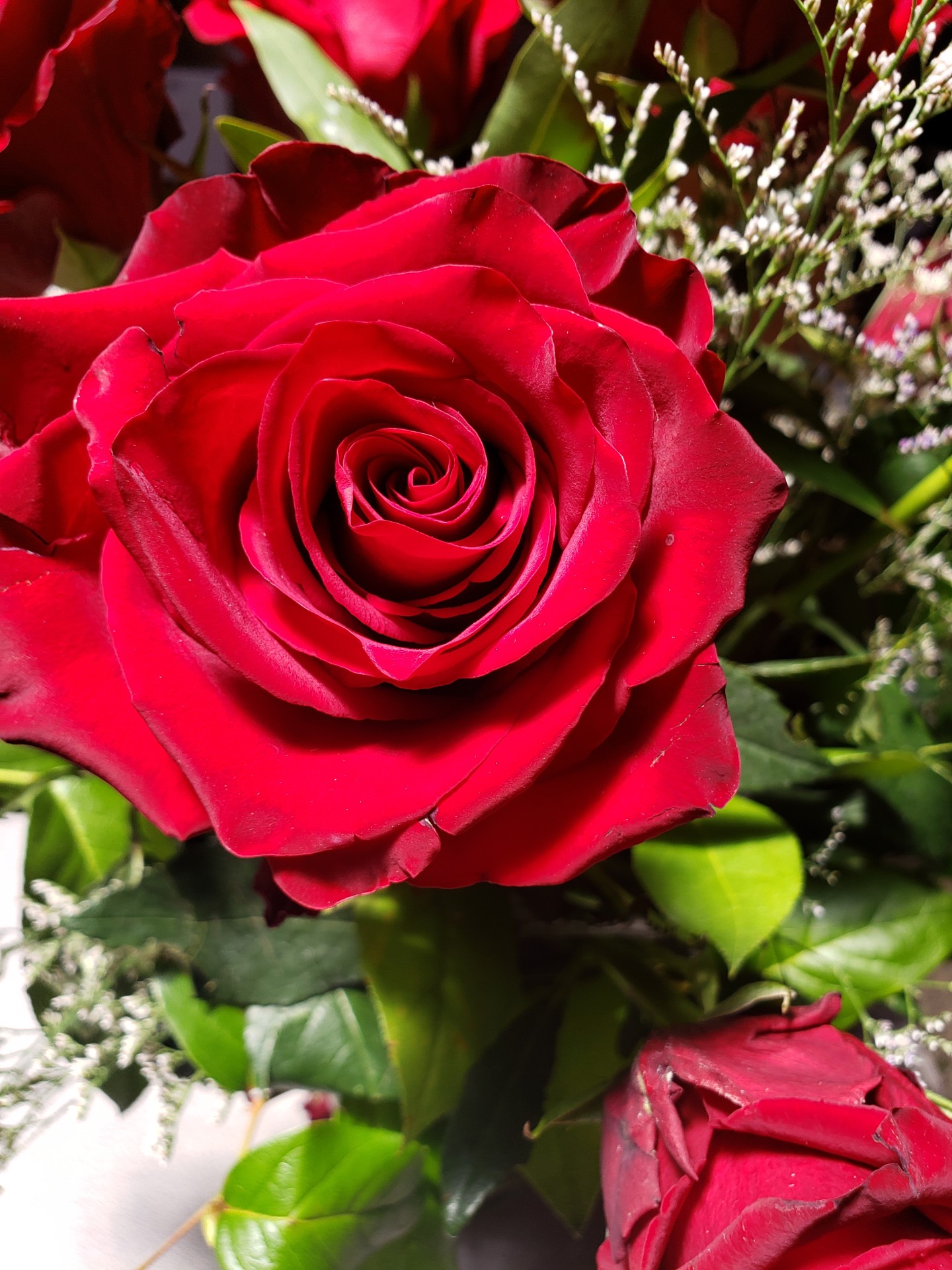 5. CLASSIC DOZEN ROSES ARRANGED IN A VASE Flower School 101