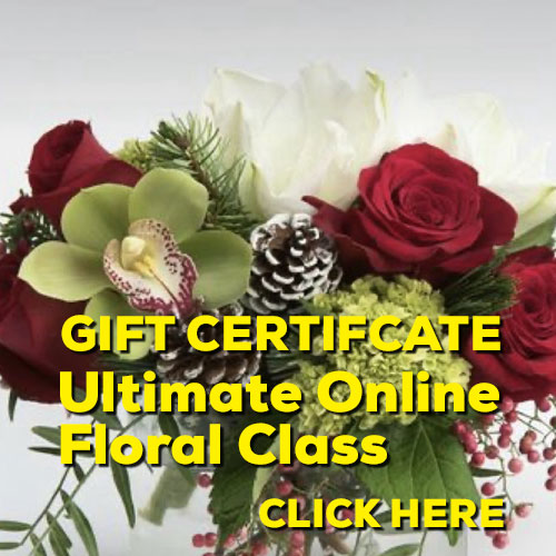 Buy and Send No Brand Gift Certificates Online